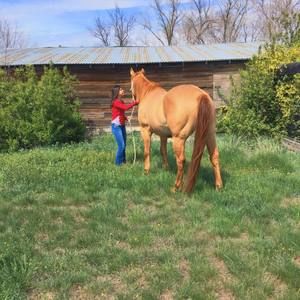 Meet your Posher, Shawna